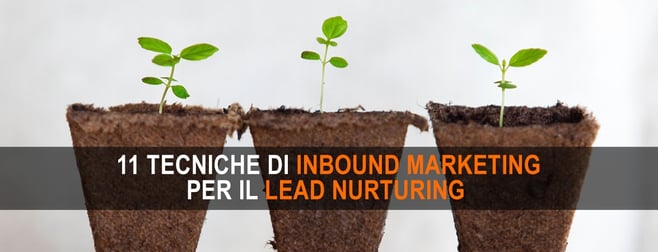 lead nurturing