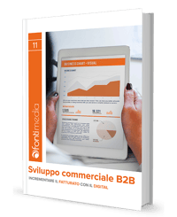 Book sviluppo commerciale b2b