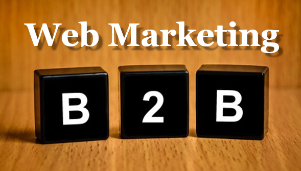 strategia di web marketing B2B