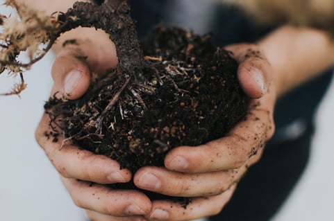 Marketing Automation & Lead Nurturing