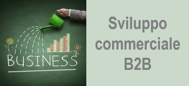 sviluppo_commerciale_b2b.png