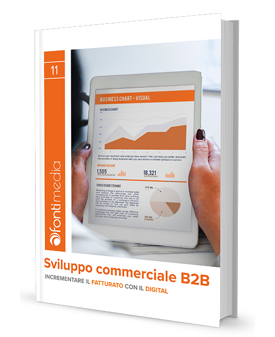 eBook Sviluppo commerciale b2b