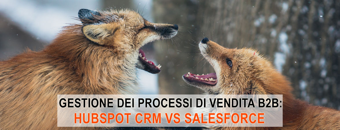 Gestione Dei Processi Di Vendita B2B HubSpot CRM Vs Salesforce